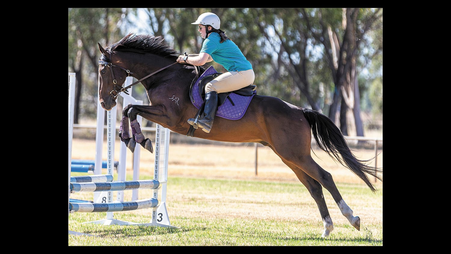 Wakool Show 2024