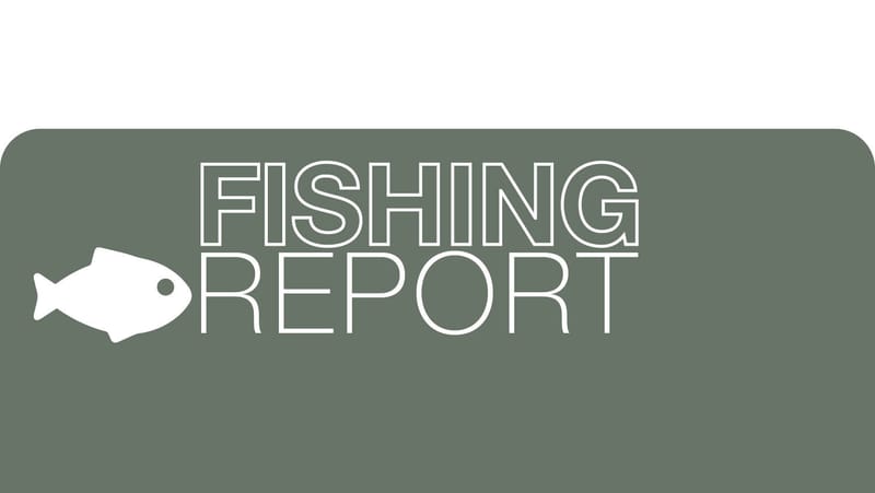 Fishing Report -16 October, 2025 post image